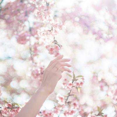 AG旗舰厅app下载