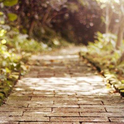 星空体育安卓app下载